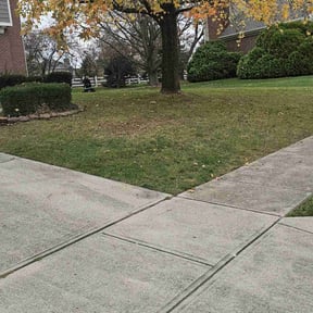 Leaf Removal by Lawncare By the beach reviewed on June 9, 2022