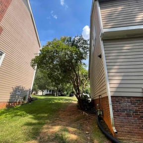 Cleanups by Cutting up Lawn and Tree Care reviewed on August 20, 2024