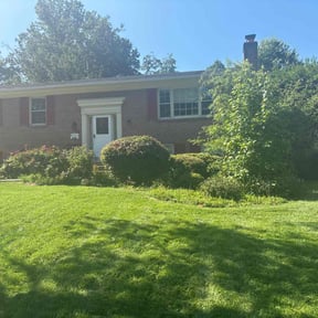 Bush Trimming by Krenik Lawn Services reviewed on April 28, 2025