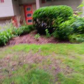 Bush Trimming by Midwest Ecoscapes reviewed on July 18, 2022