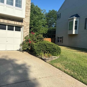 Bush Trimming by The Green Earth Lawn Care reviewed on April 4, 2022