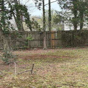 Leaf Removal by Flores Landscaping Services reviewed on July 13, 2025