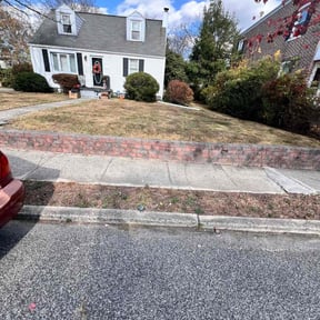 Leaf Removal by Cut Rite reviewed on July 16, 2025