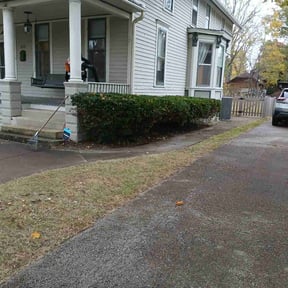 Bush Trimming by Chloe’s Lawn Care LLC reviewed on June 28, 2022