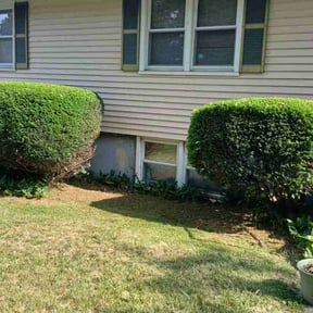 Bush Trimming by Trinity Mobile Service LLC reviewed on July 25, 2022