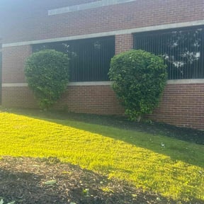 Bush Trimming by Nicks lawn care reviewed on July 21, 2022