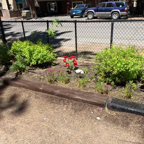 Flower Bed Weeding by Tommy T&#039;s Quick Qlips reviewed on May 19, 2025