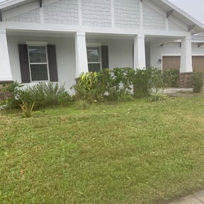 Bush Trimming by Willie lawn Care and more LLC reviewed on April 2, 2025