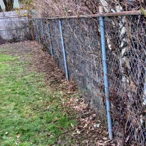 Bush Trimming by John Taylor reviewed on June 6, 2022