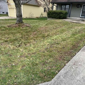 Leaf Removal by Mark Baker reviewed on July 14, 2022