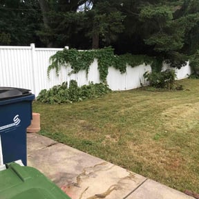 Bush Trimming by Jays Lawns reviewed on May 30, 2025