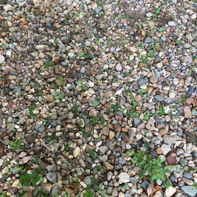 Cleanups by K2 landscape and maintenance reviewed on July 20, 2022