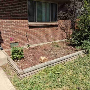 Flower Bed Weeding by Trinity Mobile Service LLC reviewed on June 21, 2024