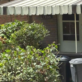 Bush Trimming by Storm Masters, Inc. reviewed on August 26, 2024