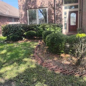 Bush Trimming by David landscaping services reviewed on March 22, 2025