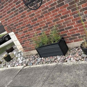 Flower Bed Weeding by pnp concrete reviewed on August 9, 2022