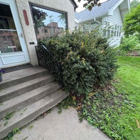 Bush Trimming by H & S Lawn Service. reviewed on April 22, 2023