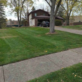 Leaf Removal by Escobar Landscaping reviewed on August 9, 2022