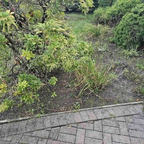 Weeding by River city Properties and Investments reviewed on May 21, 2022