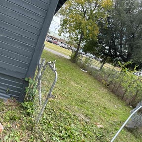 Cleanups by Buggs & Sons Landscape MGMT reviewed on June 10, 2022