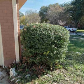 Bush Trimming by JEFC Landscaping reviewed on July 22, 2025