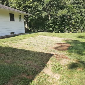 Cleanups by RoLawn Lawncare & Junk Removal reviewed on June 1, 2022