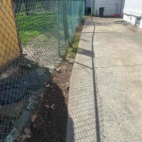 Leaf Removal by Scott Allison reviewed on November 3, 2022