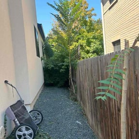 Weeding by M&E Lawn Service reviewed on November 24, 2024