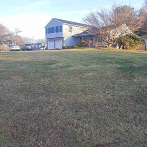 Leaf Removal by TNL LANDSCAPING reviewed on November 18, 2022
