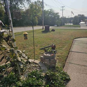 Weeding by Dortch Demo and cleanup reviewed on November 4, 2021