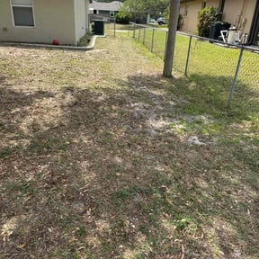 Leaf Removal by EZ Landscape & Snow removal reviewed on August 7, 2022