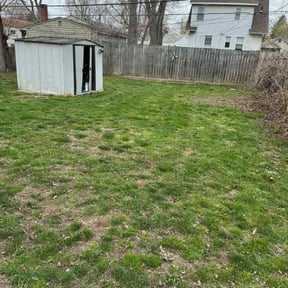 Leaf Removal by Marvel scapes reviewed on May 19, 2022