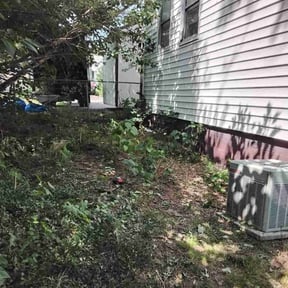 Cleanups by Ozzys lawn care reviewed on November 21, 2021