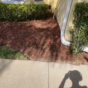Flower Bed Weeding by GC Lawn Care &amp; Landscaping Services reviewed on June 12, 2025