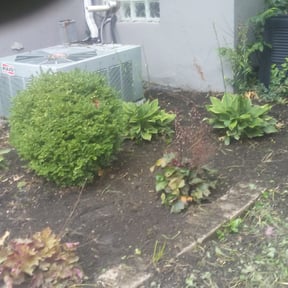 Flower Bed Weeding by Ricardo Garcia reviewed on May 3, 2022