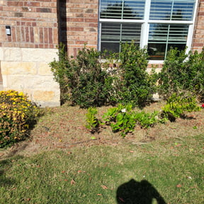 Weed Pulling by Legit Lawn Care reviewed on January 19, 2025