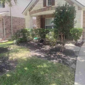 Bush Trimming by Texgrass Landscaping reviewed on April 21, 2022