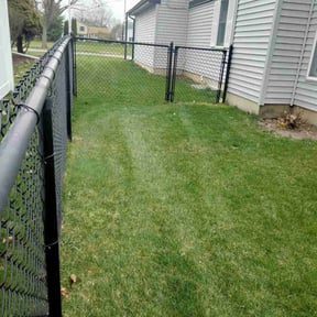 Leaf Removal by D&D Reliable Services LLC reviewed on November 29, 2024