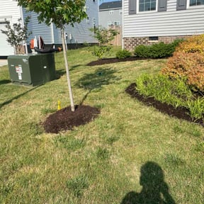 Flower Bed Weeding by TruGreen LawnCare reviewed on August 29, 2024