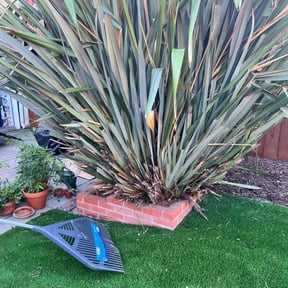 Leaf Removal by Justin's lawn service reviewed on April 13, 2022