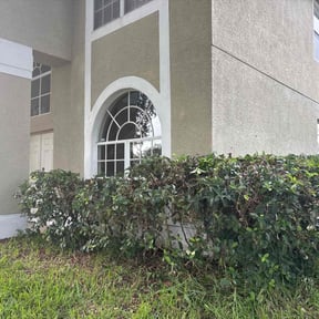 Bush Trimming by Hometeam Property Management reviewed on October 5, 2024
