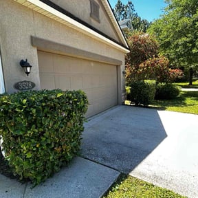 Bush Trimming by Dallas Enterprise LLC Lawn Care Services reviewed on June 13, 2025