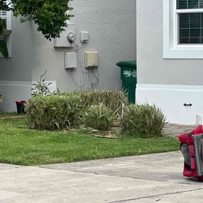 Flower Bed Weeding by Onshore Solution reviewed on January 28, 2025