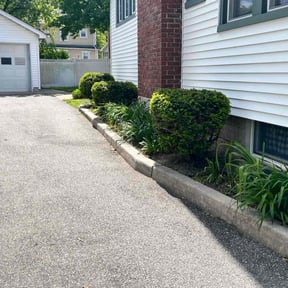 Bush Trimming by Olguin Property Management reviewed on June 7, 2022
