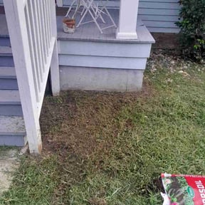 Landscaping by United Hands Royalty Lawn Care reviewed on November 14, 2023