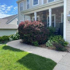 Bush Trimming by J Jr’s Lawn Maintenance reviewed on June 6, 2022