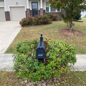 Bush Trimming by Lagger Properties reviewed on August 1, 2022