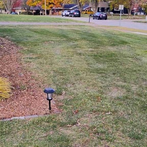 Leaf Removal by Iowa Lawn and Plow, LLC reviewed on July 1, 2022