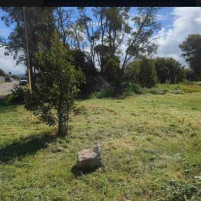 Cleanups by T's Mow Blow &amp; Go reviewed on April 15, 2025