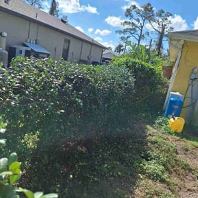 Bush Trimming by P&A Landscaping reviewed on May 22, 2022